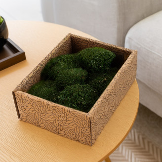 Mini Muschio a sfera stabilizzato - Creabox S - Nature Green