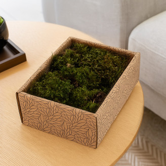 Hair Moss stabilizzato - Creabox S - Light Green