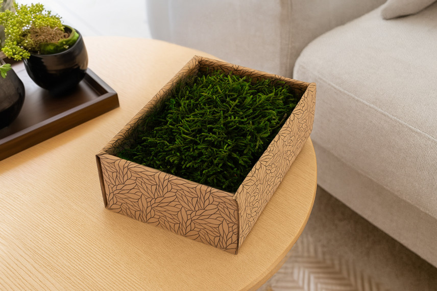 Muschio lungo stabilizzato - Creabox S - Verde