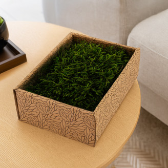 Muschio lungo stabilizzato - Creabox S - Verde