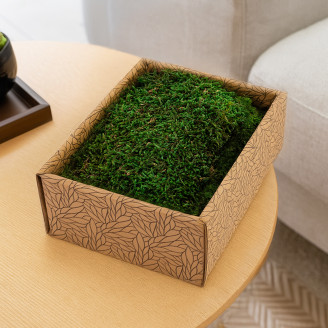 Flat Moss Preserved - Creabox - Green