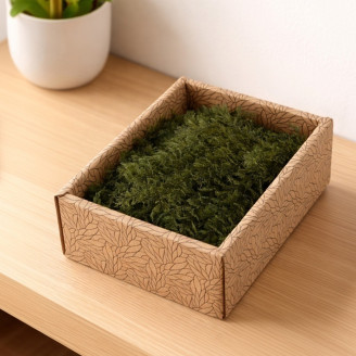 Air Fern konserviert - Creabox - Nature Green