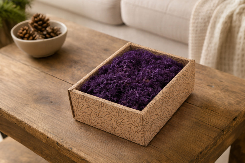 Lichene preservato - Creabox S - Viola