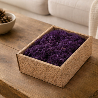 Islandmoos konserviert - Creabox - Violett