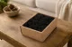 Preserved Reindeer Moss Black (Creabox S) 1