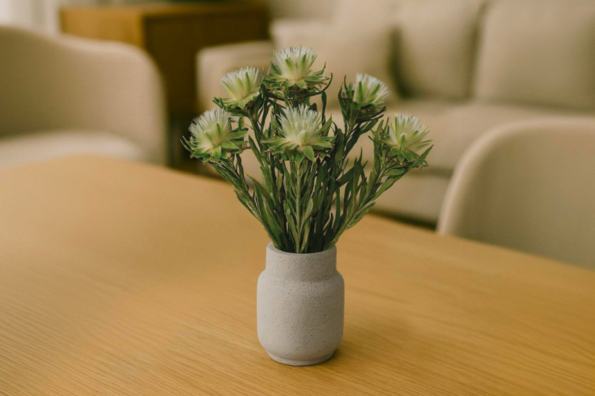 Plumosum femelle stabilis&eacute; - Bouquet - Vert