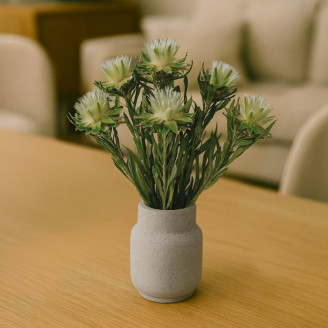 Preserved Plumosum Female - Bouquet - Green