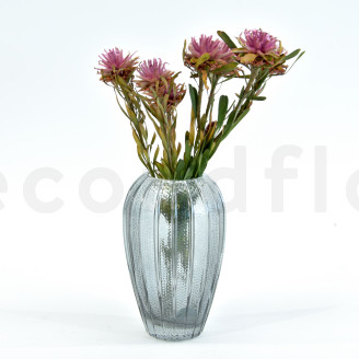 Preserved Plumosum Female - Bouquet - Pink