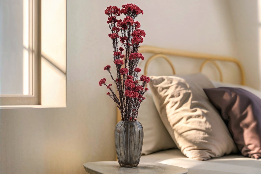 Diosmi preservato - Mazzo - Rosso