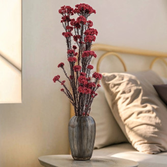 Diosmi stabilizzato - Mazzo - Rosso