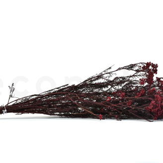 Diosmi stabilizzato - Mazzo - Rosso