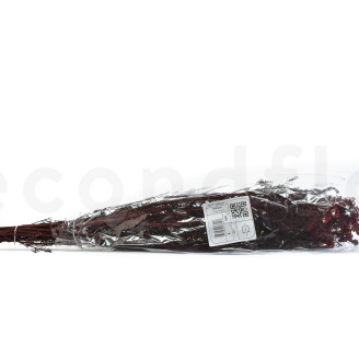 Diosmi Stabilized - Bouquet - Red