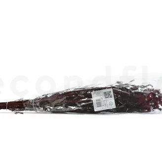 Preserved Diosmi Red