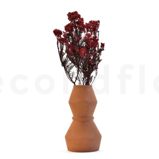 Diosmi Stabilized - Bouquet - Red