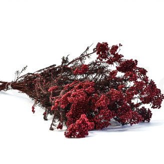 Diosmi Stabilized - Bouquet - Red