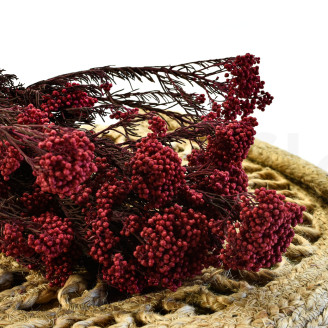 Diosmi Stabilized - Bouquet - Red