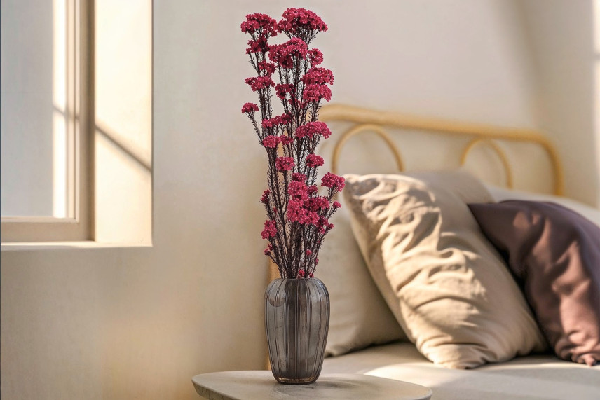 Diosmi Stabilized - Bouquet - Pink