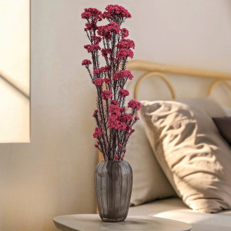 Diosmi preservado - Ramo - Rosa