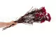 Diosmi stabilizzato Rosa 5