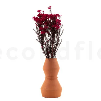 Diosmi stabilizzato Rosa