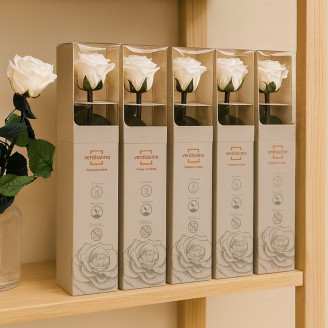 Roses on stem preserved 30cm - Gift Box 25 Units - White