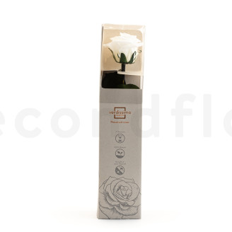 Roses on stem stabilized 30cm - Gift Box 25 Units - White