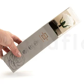 Rosa stabilizzata con stelo 30 cm Bianco - Scatola regalo individuale (x25)