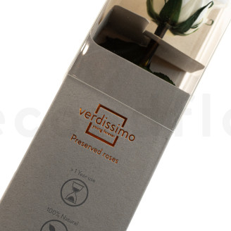 Rose su stelo stabilizzato 30 cm - Gift Box 25 unit&agrave; - Bianco