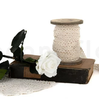 Preserved Rose on stem 30 cm White - Individual Gift Box (x25)