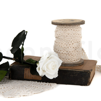 Rosas preservadas con tallo 30 cm - Gift Box 25 unidades - Blanco