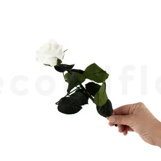 Preserved Rose on stem 30 cm White - Individual Gift Box (x25)