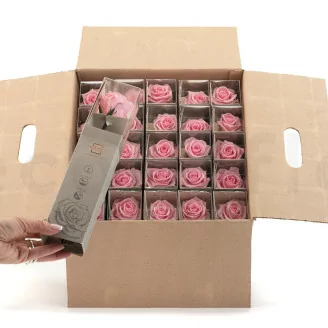 Konservierte Rose mit 30 cm Stiel Pastellrosa - Einzelne Geschenkbox (x25)