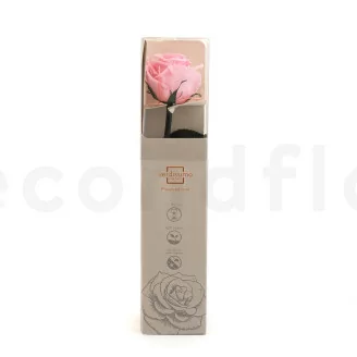 Rose stabilis&eacute;e sur tige 30 cm Rose Pastel - Bo&icirc;te cadeau individuelle (x25)