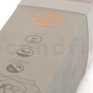 Roses sur tige stabilis&eacute;es 30cm - Gift Box 25 Unit&eacute;s - Pastel Pink