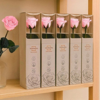 Rosas preservadas con tallo 30 cm - Gift Box 25 unidades - Rosa claro