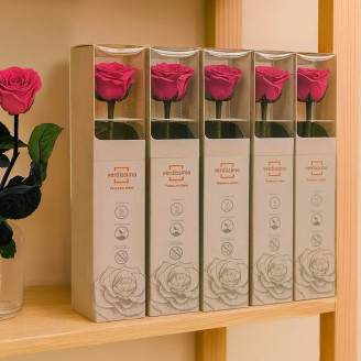 Rosen mit St&auml;ngel konserviert 30 cm - Gift Box 25 St&uuml;ck - Dunkelrosa
