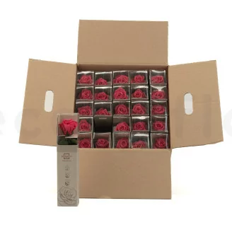 Konservierte Rose mit 30 cm Stiel Dunkelrosa - Einzelne Geschenkbox (x25)