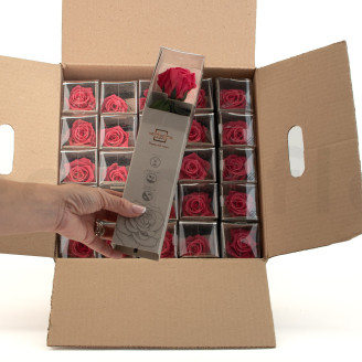 Roses on stem stabilized 30cm - Gift Box 25 Units - Dark Pink