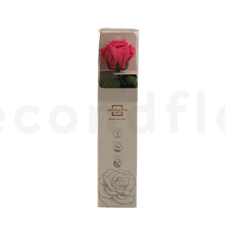Roses on stem preserved 30cm - Gift Box 25 Units - Dark Pink
