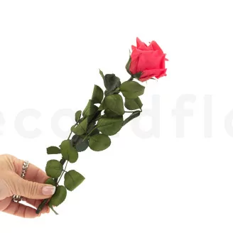 Konservierte Rose mit 30 cm Stiel Dunkelrosa - Einzelne Geschenkbox (x25)