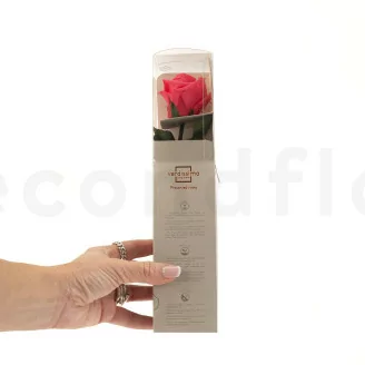 Konservierte Rose mit 30 cm Stiel Dunkelrosa - Einzelne Geschenkbox (x25)