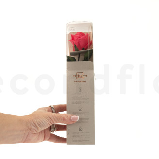Roses on stem preserved 30cm - Gift Box 25 Units - Dark Pink