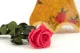 Preserved Rose on stem 30 cm Dark Pink - Individual Gift Box (x25) 9