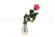 Konservierte Rose mit 30 cm Stiel Dunkelrosa - Einzelne Geschenkbox (x25) 10