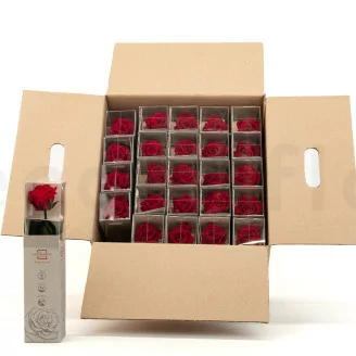Konservierte Rose mit 30 cm Stiel Rot - Einzelne Geschenkbox (x25)