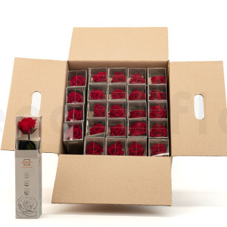 Roses on stem preserved 30cm - Gift Box 25 Units - Red
