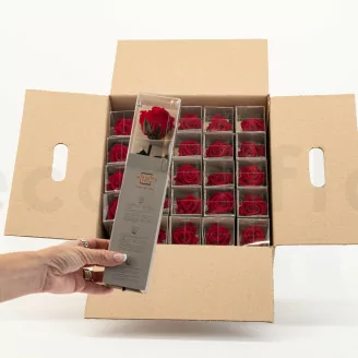 Konservierte Rose mit 30 cm Stiel Rot - Einzelne Geschenkbox (x25)