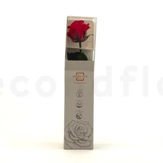 Rosen mit St&auml;ngel konserviert 30 cm - Gift Box 25 St&uuml;ck - Rot