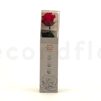 Roses sur tige stabilis&eacute;es 30cm - Gift Box 25 unit&eacute;s - Rouge