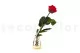 Rosa stabilizzata con stelo 30 cm Rosso - Scatola regalo individuale (x25) 8